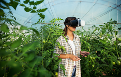 Agronomist using VR glasses in greenhouse