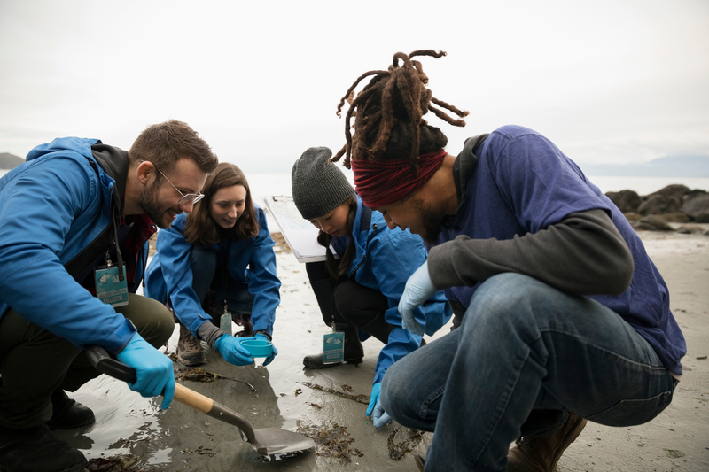 Eco-friendly scientists gathering micro plastic specimens on beach
